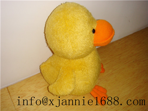 customize duck